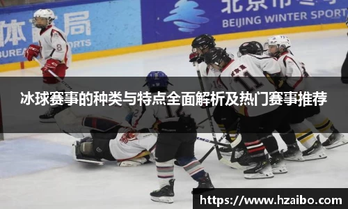 冰球赛事的种类与特点全面解析及热门赛事推荐